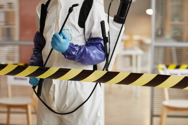 Professional Sewage Cleanup technician working in Herman, NE